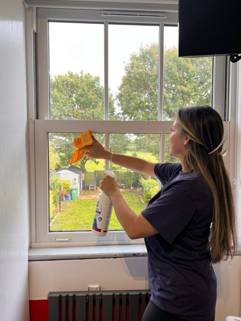 professional cleaning services